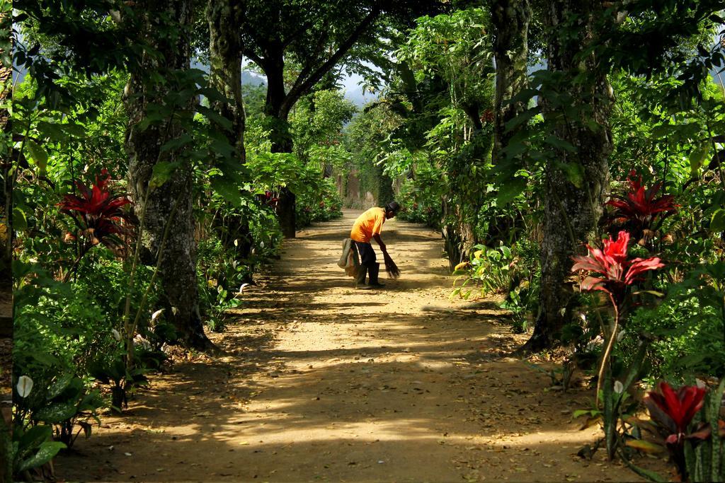 Margo Utomo Eco Resort Kalibaru Kültér fotó