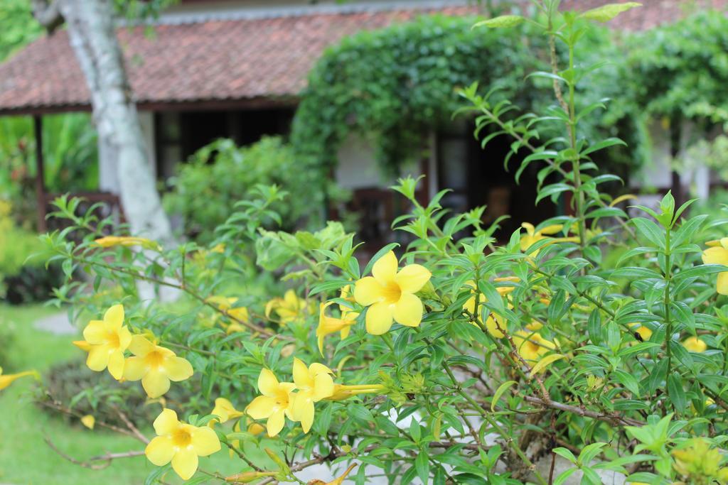 Margo Utomo Eco Resort Kalibaru Kültér fotó