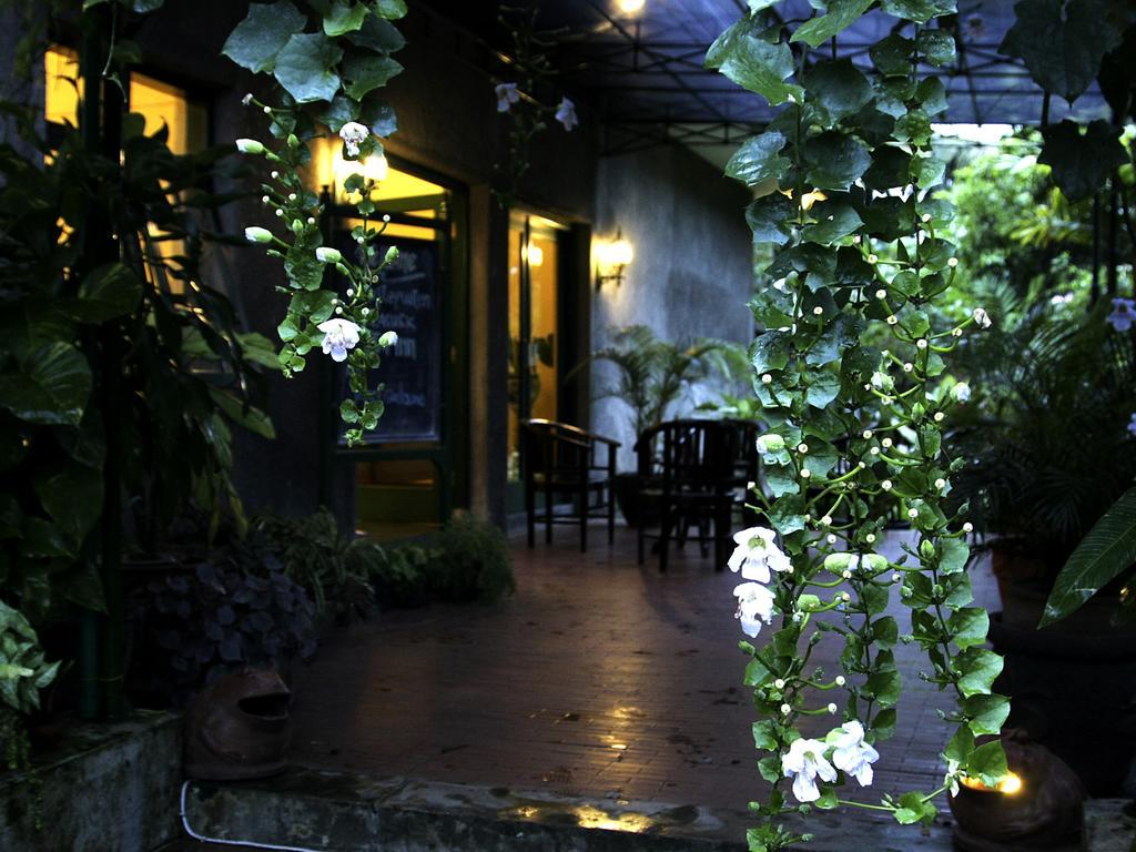 Margo Utomo Eco Resort Kalibaru Kültér fotó