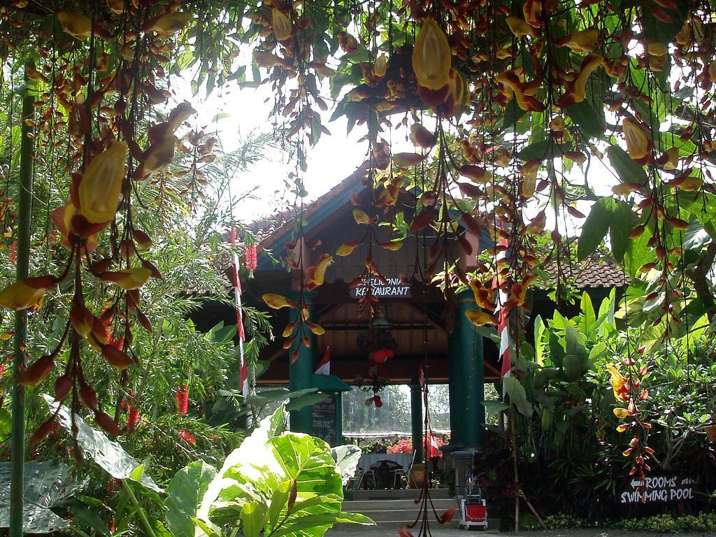 Margo Utomo Eco Resort Kalibaru Kültér fotó
