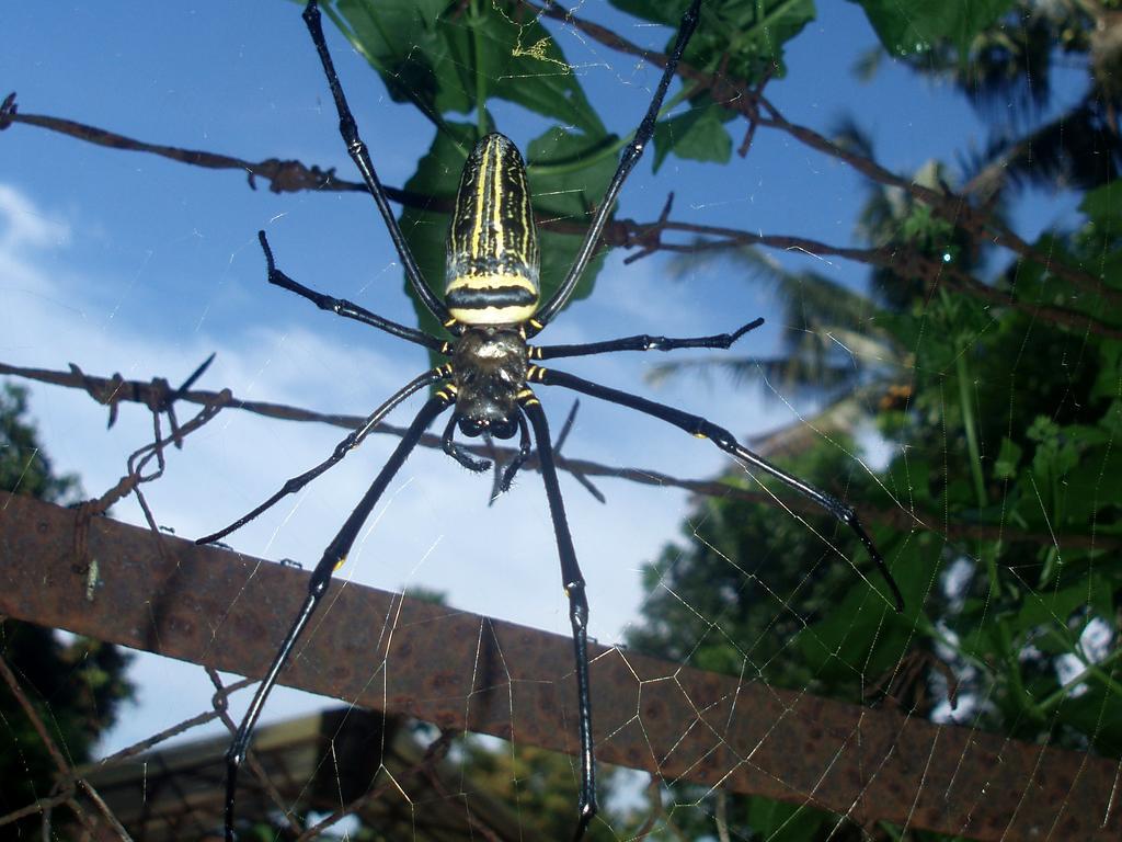 Margo Utomo Eco Resort Kalibaru Kültér fotó
